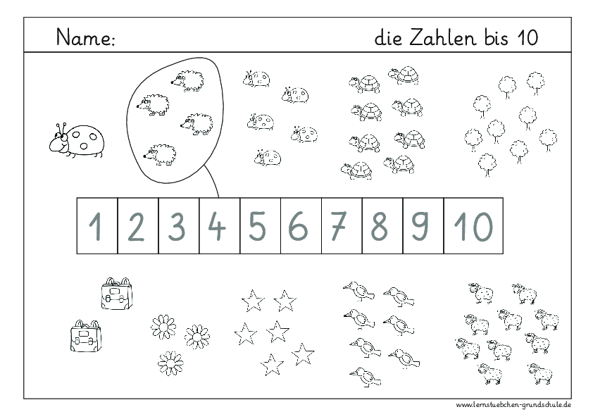 ZR 10 Grundschule pdf 